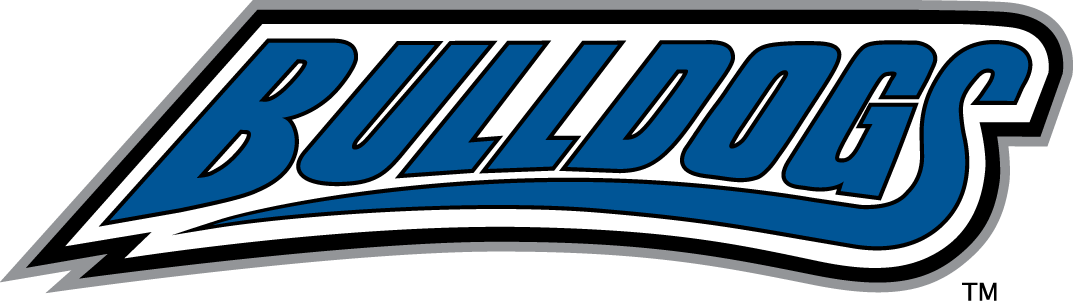 North Carolina Asheville Bulldogs 1998-Pres Wordmark Logo v2 diy DTF decal sticker